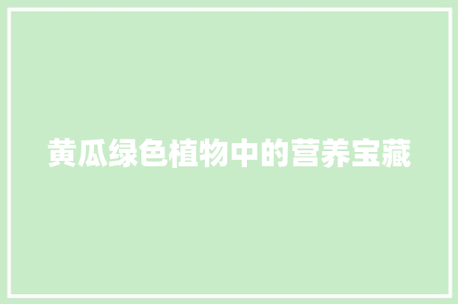 黄瓜绿色植物中的营养宝藏