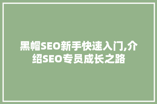 黑帽SEO新手快速入门,介绍SEO专员成长之路
