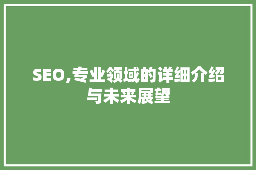 SEO,专业领域的详细介绍与未来展望