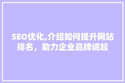 SEO优化,介绍如何提升网站排名，助力企业品牌崛起