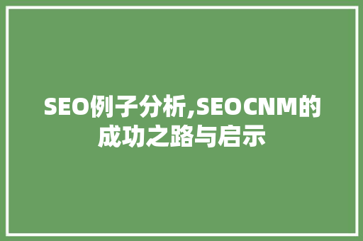SEO例子分析,SEOCNM的成功之路与启示