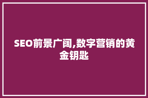 SEO前景广阔,数字营销的黄金钥匙