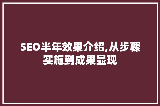 SEO半年效果介绍,从步骤实施到成果显现