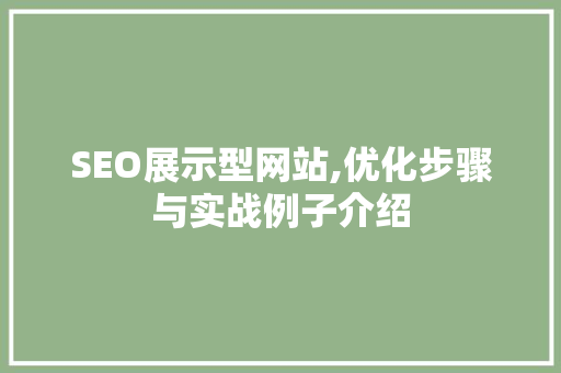SEO展示型网站,优化步骤与实战例子介绍