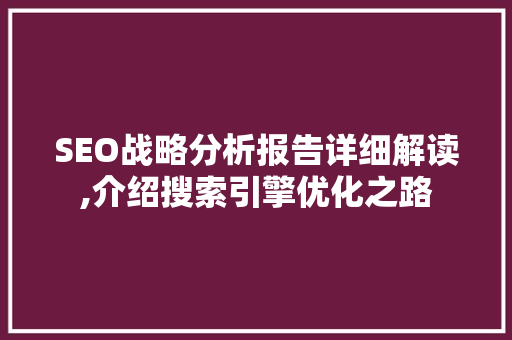 SEO战略分析报告详细解读,介绍搜索引擎优化之路
