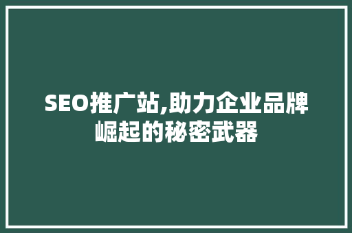 SEO推广站,助力企业品牌崛起的秘密武器
