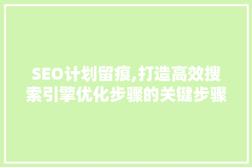 SEO计划留痕,打造高效搜索引擎优化步骤的关键步骤
