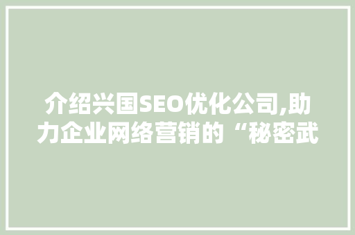 介绍兴国SEO优化公司,助力企业网络营销的“秘密武器”