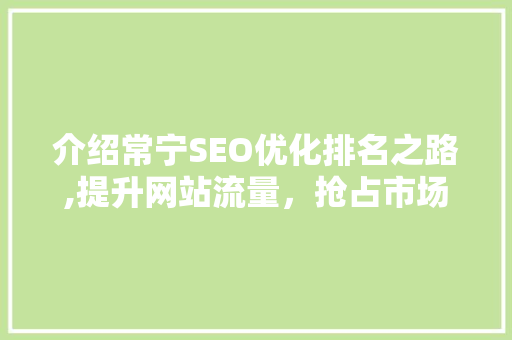 介绍常宁SEO优化排名之路,提升网站流量，抢占市场先机