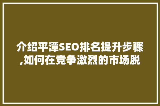 介绍平潭SEO排名提升步骤,如何在竞争激烈的市场脱颖而出