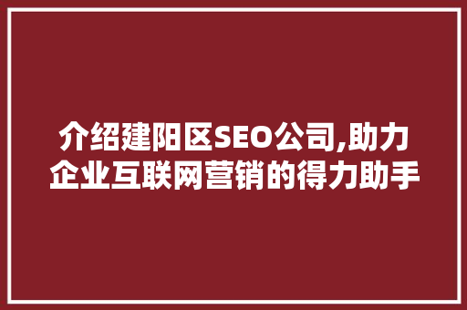 介绍建阳区SEO公司,助力企业互联网营销的得力助手