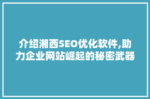 介绍湘西SEO优化软件,助力企业网站崛起的秘密武器