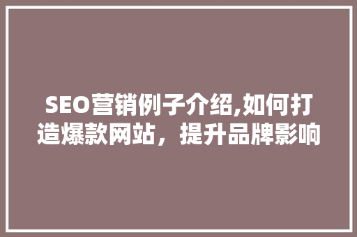SEO营销例子介绍,如何打造爆款网站，提升品牌影响力