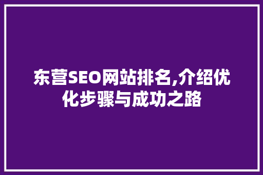 东营SEO网站排名,介绍优化步骤与成功之路