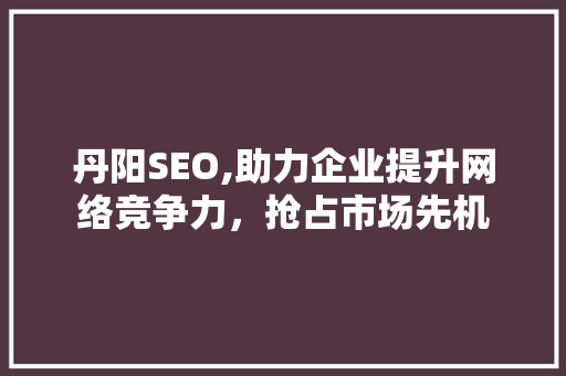 丹阳SEO,助力企业提升网络竞争力，抢占市场先机