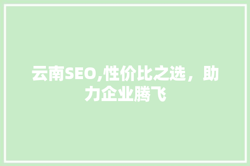 云南SEO,性价比之选，助力企业腾飞