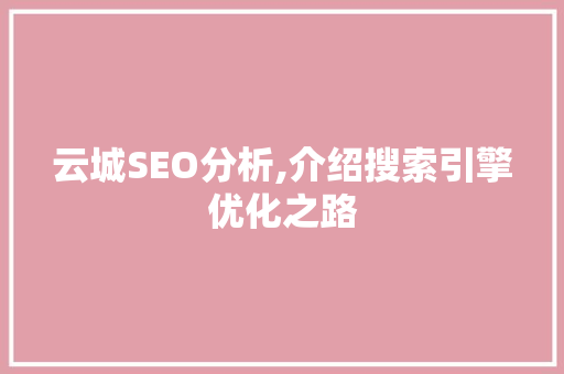 云城SEO分析,介绍搜索引擎优化之路