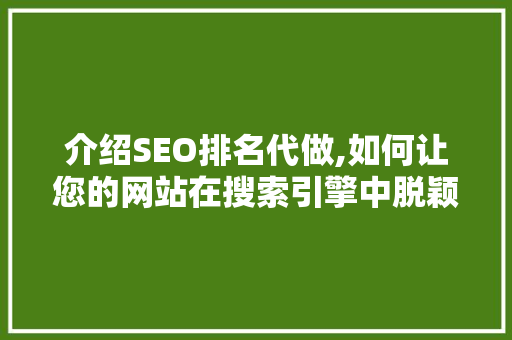 介绍SEO排名代做,如何让您的网站在搜索引擎中脱颖而出