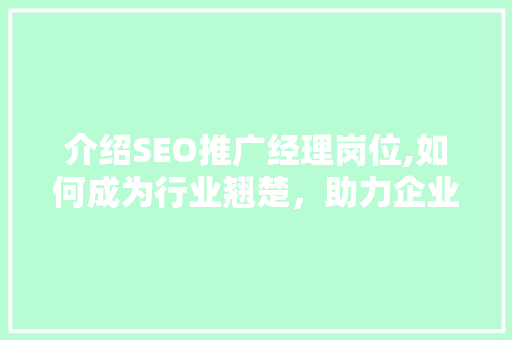 介绍SEO推广经理岗位,如何成为行业翘楚，助力企业腾飞
