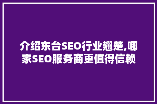 介绍东台SEO行业翘楚,哪家SEO服务商更值得信赖