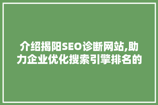 介绍揭阳SEO诊断网站,助力企业优化搜索引擎排名的秘密武器