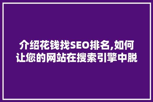介绍花钱找SEO排名,如何让您的网站在搜索引擎中脱颖而出