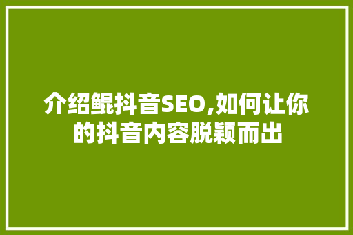 介绍鲲抖音SEO,如何让你的抖音内容脱颖而出