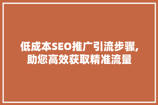 低成本SEO推广引流步骤,助您高效获取精准流量