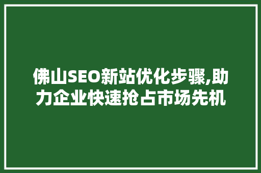 佛山SEO新站优化步骤,助力企业快速抢占市场先机