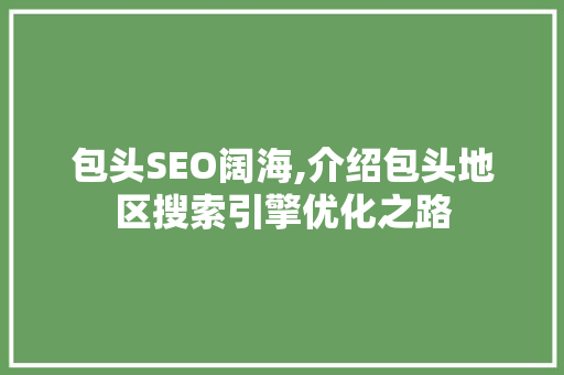 包头SEO阔海,介绍包头地区搜索引擎优化之路
