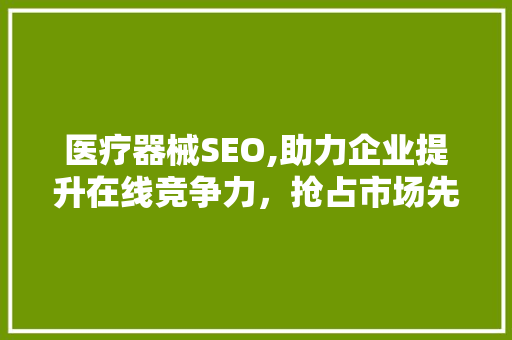 医疗器械SEO,助力企业提升在线竞争力，抢占市场先机