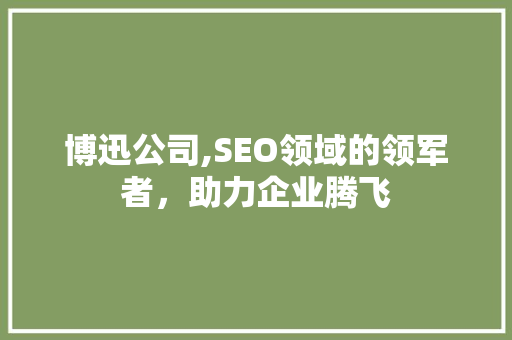 博迅公司,SEO领域的领军者，助力企业腾飞