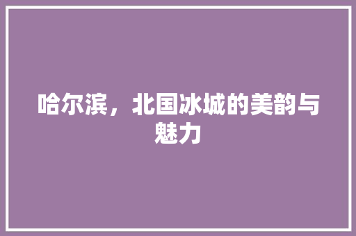 哈尔滨，北国冰城的美韵与魅力