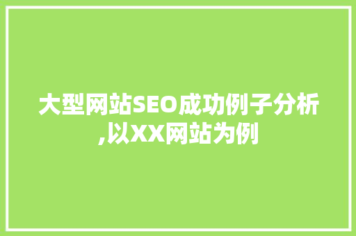 大型网站SEO成功例子分析,以XX网站为例