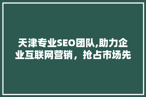 天津专业SEO团队,助力企业互联网营销，抢占市场先机