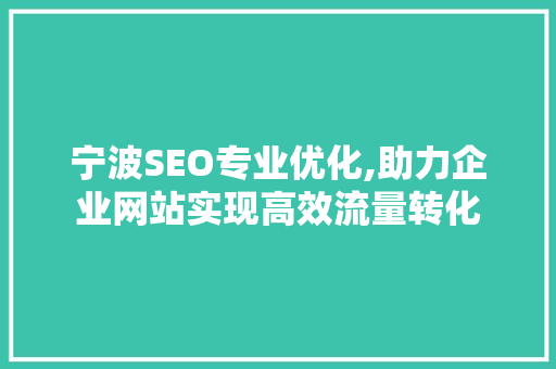 宁波SEO专业优化,助力企业网站实现高效流量转化