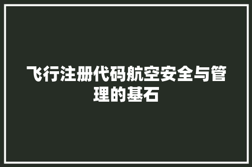 飞行注册代码航空安全与管理的基石