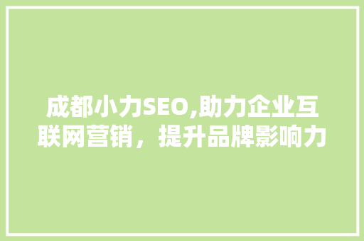 成都小力SEO,助力企业互联网营销，提升品牌影响力