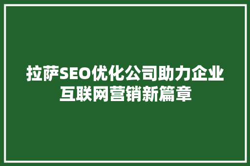 拉萨SEO优化公司助力企业互联网营销新篇章