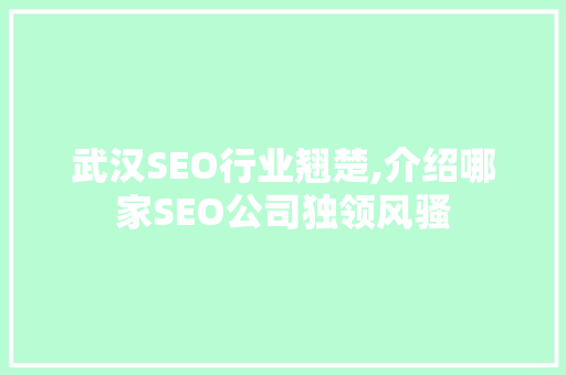 武汉SEO行业翘楚,介绍哪家SEO公司独领风骚