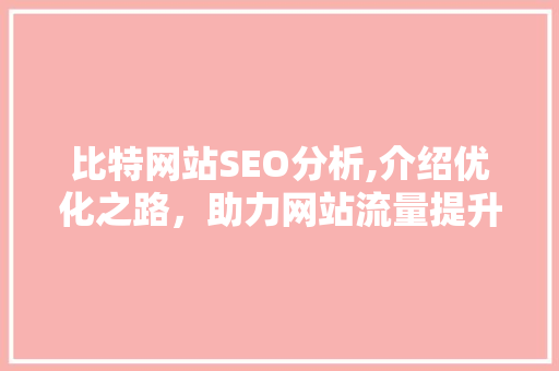 比特网站SEO分析,介绍优化之路，助力网站流量提升