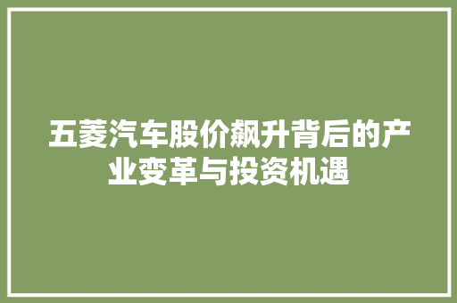 五菱汽车股价飙升背后的产业变革与投资机遇