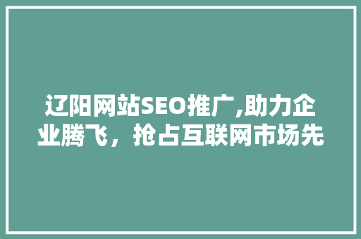 辽阳网站SEO推广,助力企业腾飞，抢占互联网市场先机