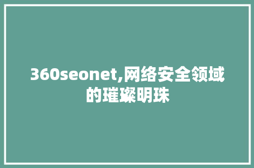 360seonet,网络安全领域的璀璨明珠  第1张