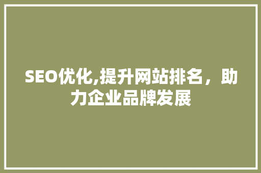 SEO优化,提升网站排名，助力企业品牌发展