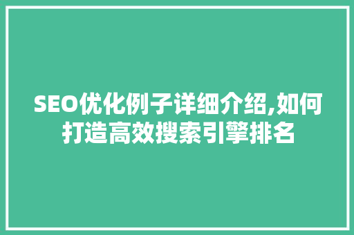 SEO优化例子详细介绍,如何打造高效搜索引擎排名