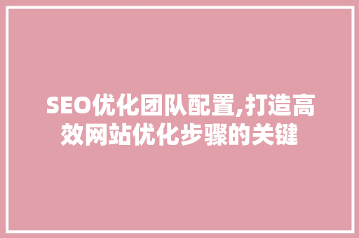 SEO优化团队配置,打造高效网站优化步骤的关键