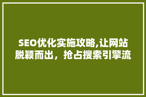 SEO优化实施攻略,让网站脱颖而出，抢占搜索引擎流量高地