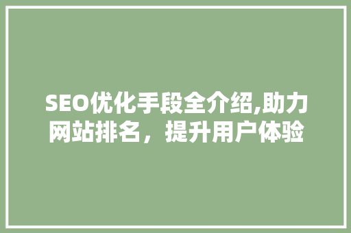 SEO优化手段全介绍,助力网站排名，提升用户体验