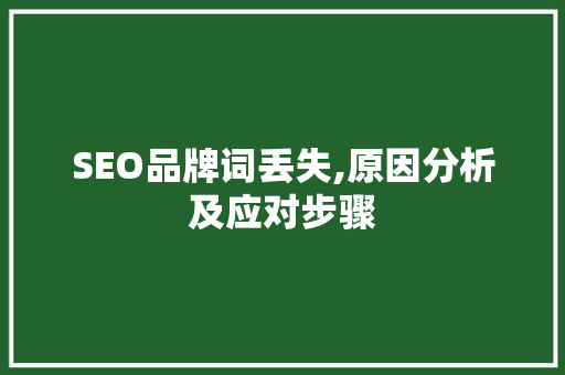 SEO品牌词丢失,原因分析及应对步骤